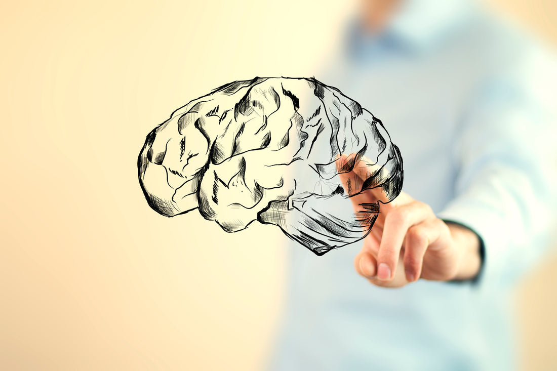 Keto and the Brain: How Ketones Affect the Brain