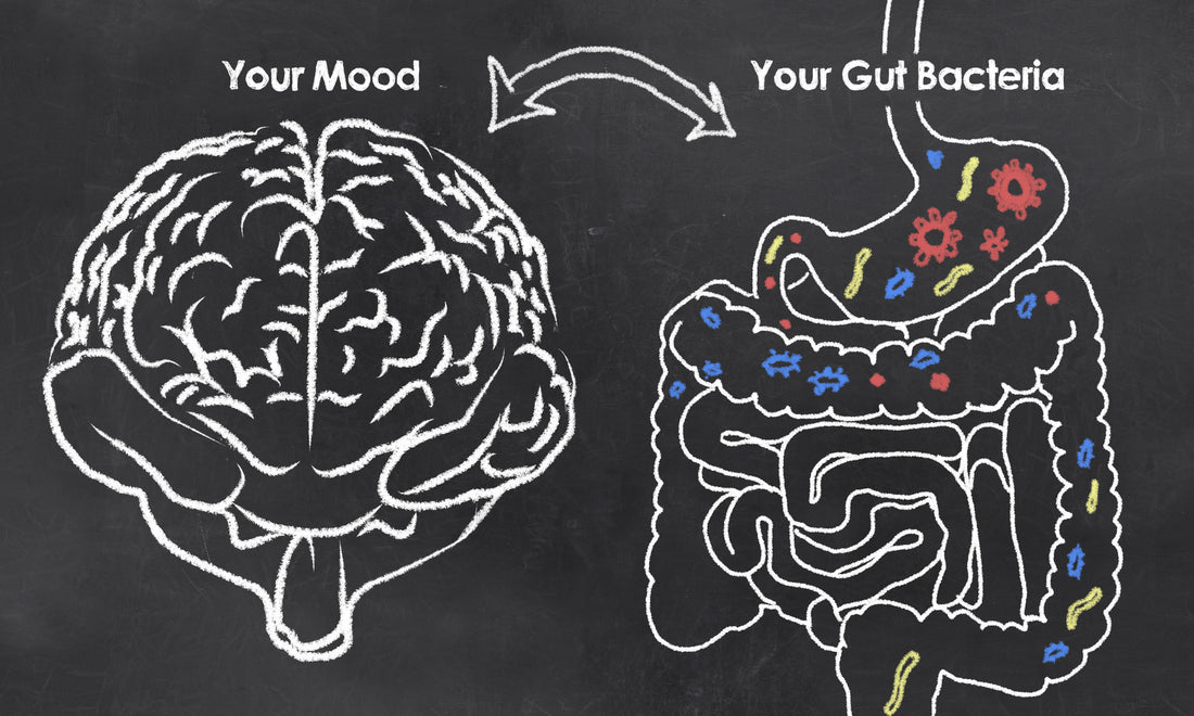 You are What You Eat: Keto’s Effect on Your Gut Microbiome