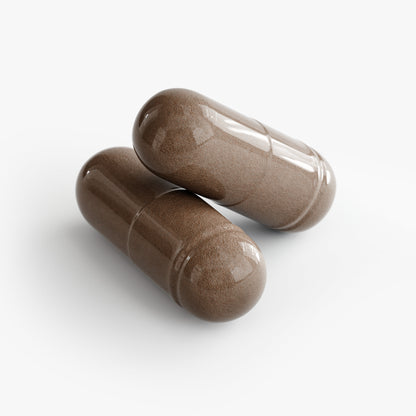 Resveratrol Longevity