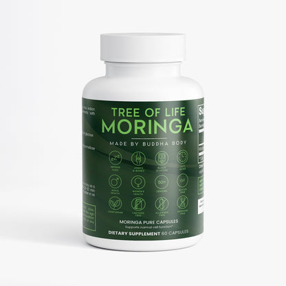 Tree of Life Moringa