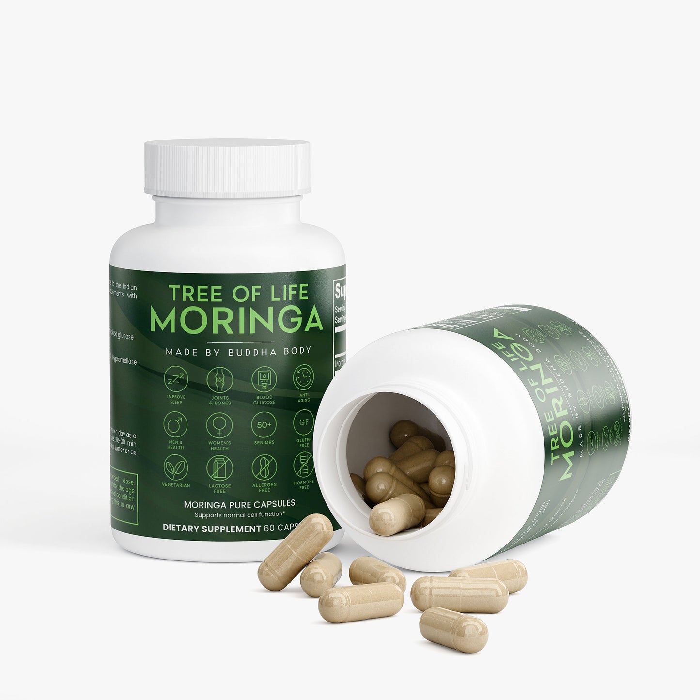 Tree of Life Moringa
