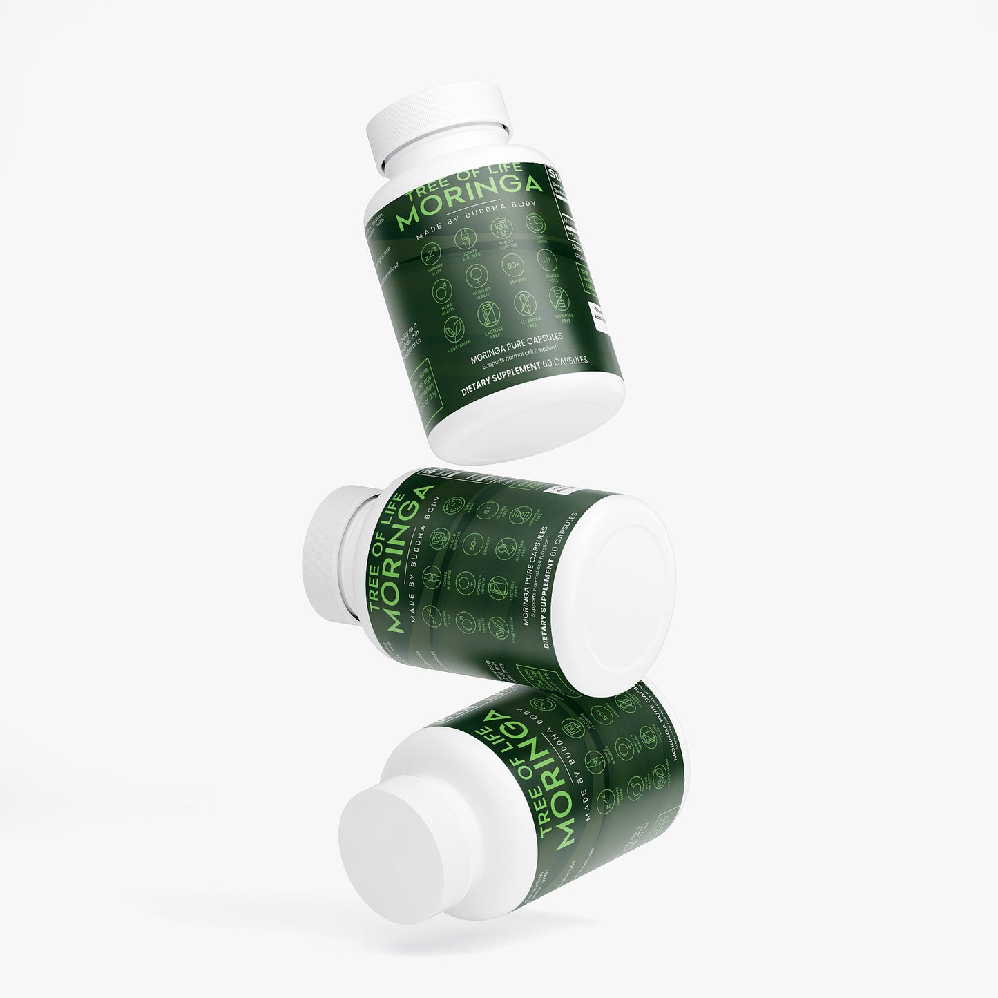 Tree of Life Moringa