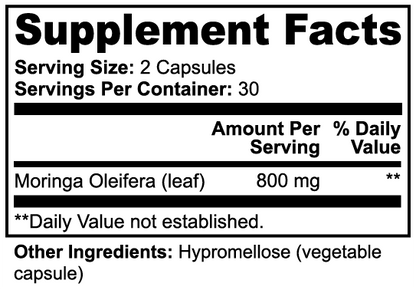 Tree of Life Moringa