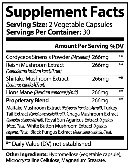 Mushroom Elixir10X